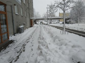 IMG_20221121_104538.jpg