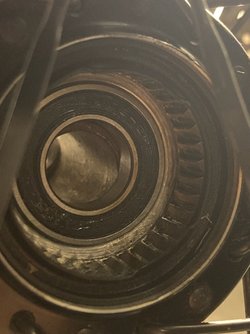 EFCBA40E-3EAC-4702-AE26-31AA123C9690.jpeg EFCBA40E-3EAC-4702-AE26-31AA123C9690.jpeg