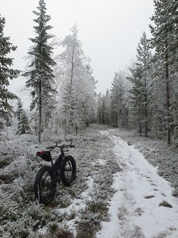 20221119_114236.jpg