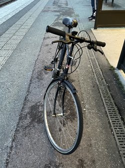 BAD77E01-BB74-4342-85B4-12CDFA033989.jpeg