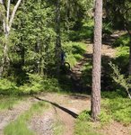 IMG_1283.JPG