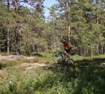 IMG_1385.JPG
