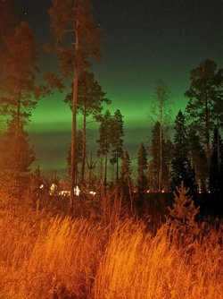 IMG_20221028_191920.jpg
