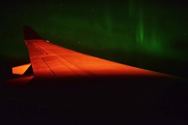 DSC_5650.jpg