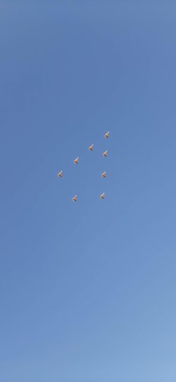 20221213_142021.jpg
