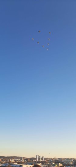 20221213_142024.jpg