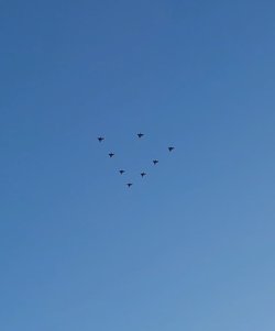 20221213_142259_exported_45388.jpg