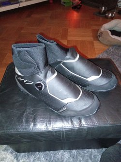 IMG_20221217_211457_557.jpg