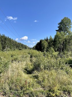 IMG_0494.jpeg