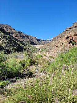 20230103_144503.jpg