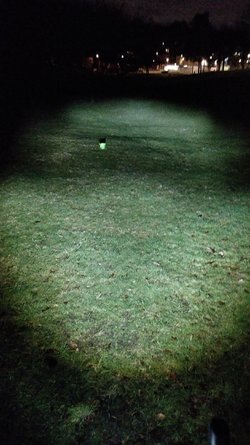 IMG_20230116_195045.jpg