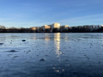 IMG_9268.jpg