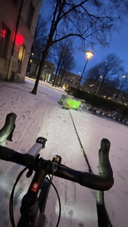 Bur.jpg