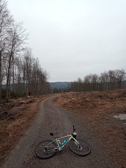 IMG_20230214_101731_720.jpg