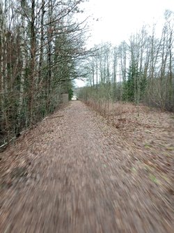 IMG_20230214_111122_000.jpg