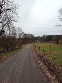 IMG_20230214_112356_510.jpg
