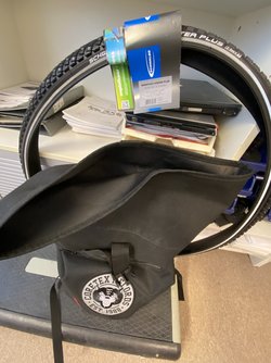schwalbe.jpg