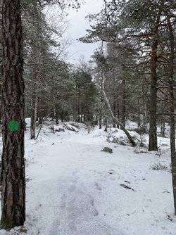 1884FD10-11B2-4D28-AB64-3AB35694B333.jpeg