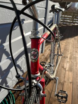 917_1189692414.jpg