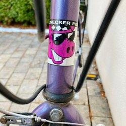 CheckerPig-CPXCL - 1 (3).jpeg