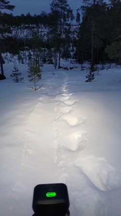 P_20230302_182010.jpg