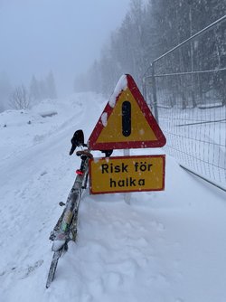 8AAB8375-927F-4D3C-9810-646F0CA21710.jpeg