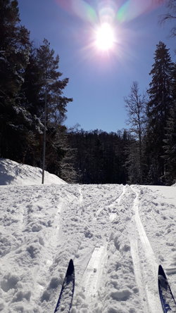 20230308_122058.jpg