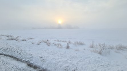 20230309_071021.jpg