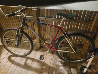 20230312_211206.jpg