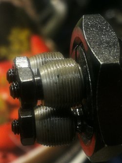 IMG_20230316_160152.jpg