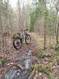 IMG_20230317_112734_342.jpg