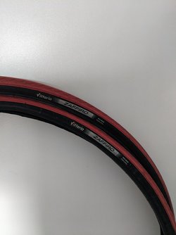 PXL_20230321_091248418.jpg