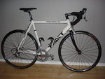 FAT L.JPG