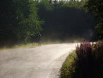 cykla.JPG