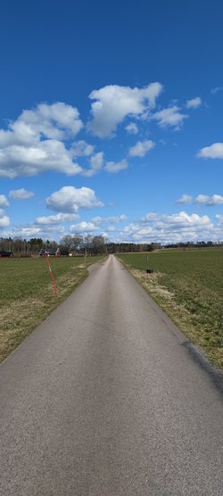 IMG_20230406_135703.jpg