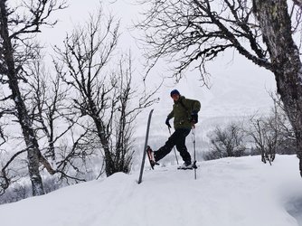 F0CA3FA7-908F-434A-AA51-C3048223F1E5.jpeg