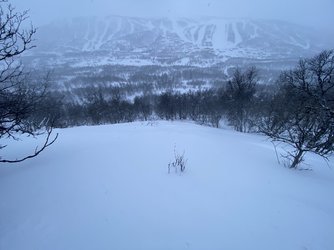 A27A9A96-757A-4B93-8F1D-957606E653FD.jpeg
