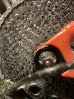 B0A072D3-EEE1-46F8-9768-8B4DFBC116DF.jpeg