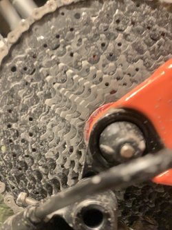 490A2139-7026-49DA-931E-E75D8B4F878C.jpeg