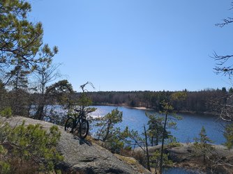 IMG_20230422_131100_163.jpg