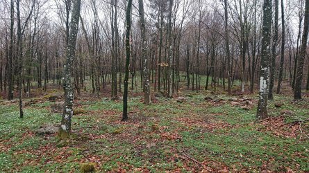 DSC_0399.JPG