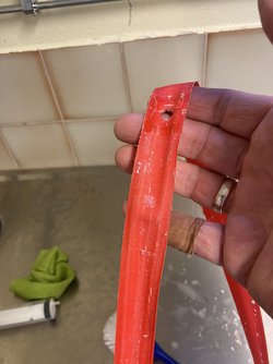 IMG_0523.jpeg