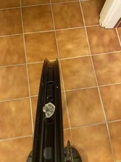 IMG_0524.jpeg