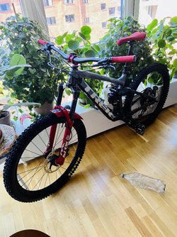 IMG_1099.jpeg