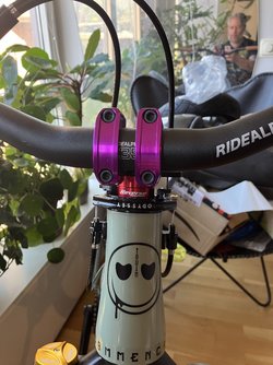IMG_1095.jpeg
