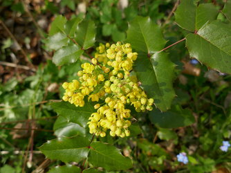 P1010328.JPG