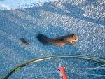 DSC00006.JPG
