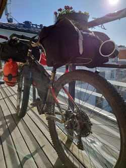 20230518_175520.JPG