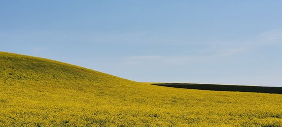 20230522_125149.jpg