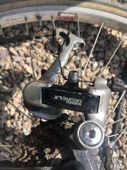 IMG_0822.jpeg